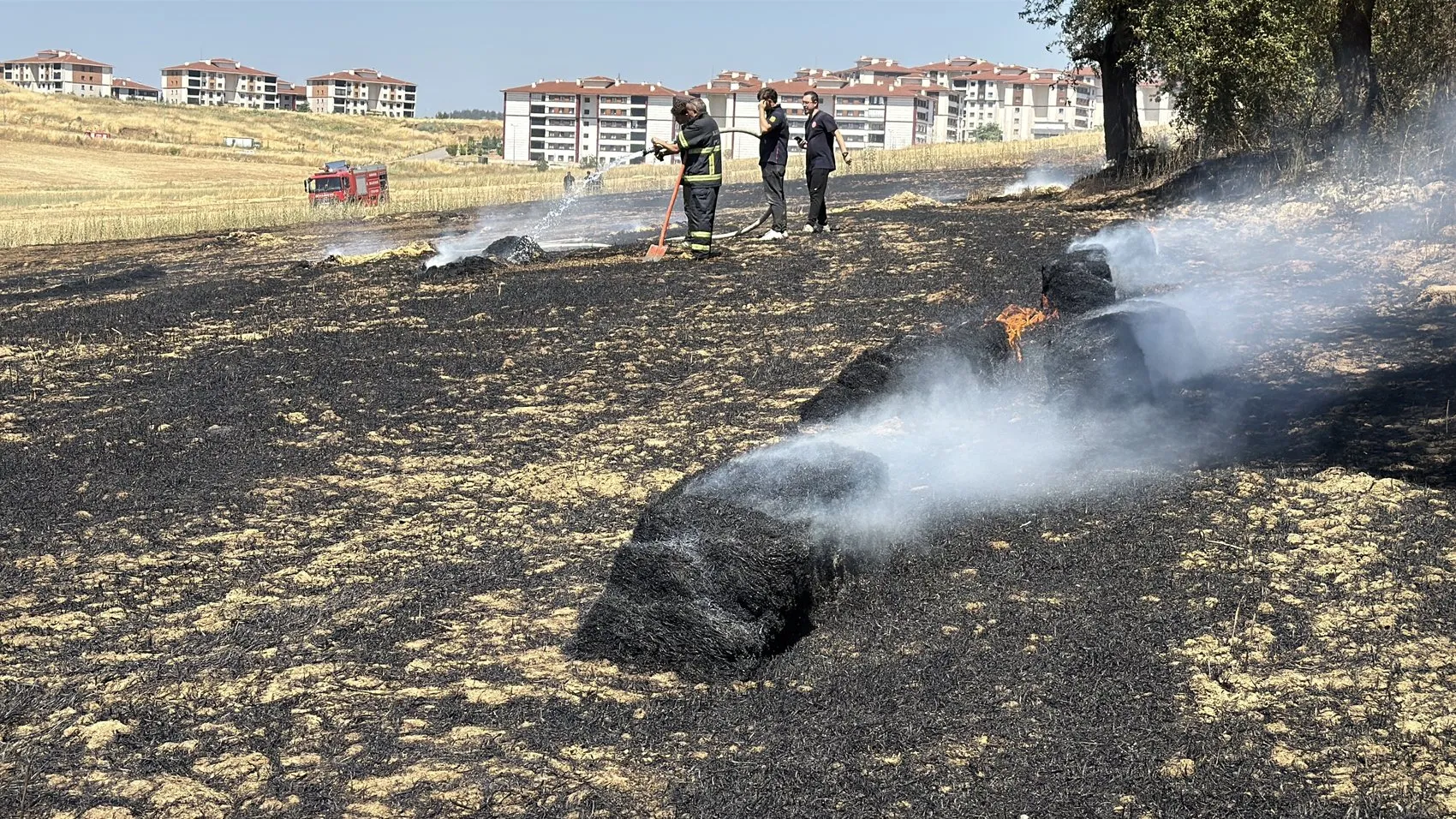 Karabük'te tarlada çıkan yangın 25 dönümü küle çevirdi