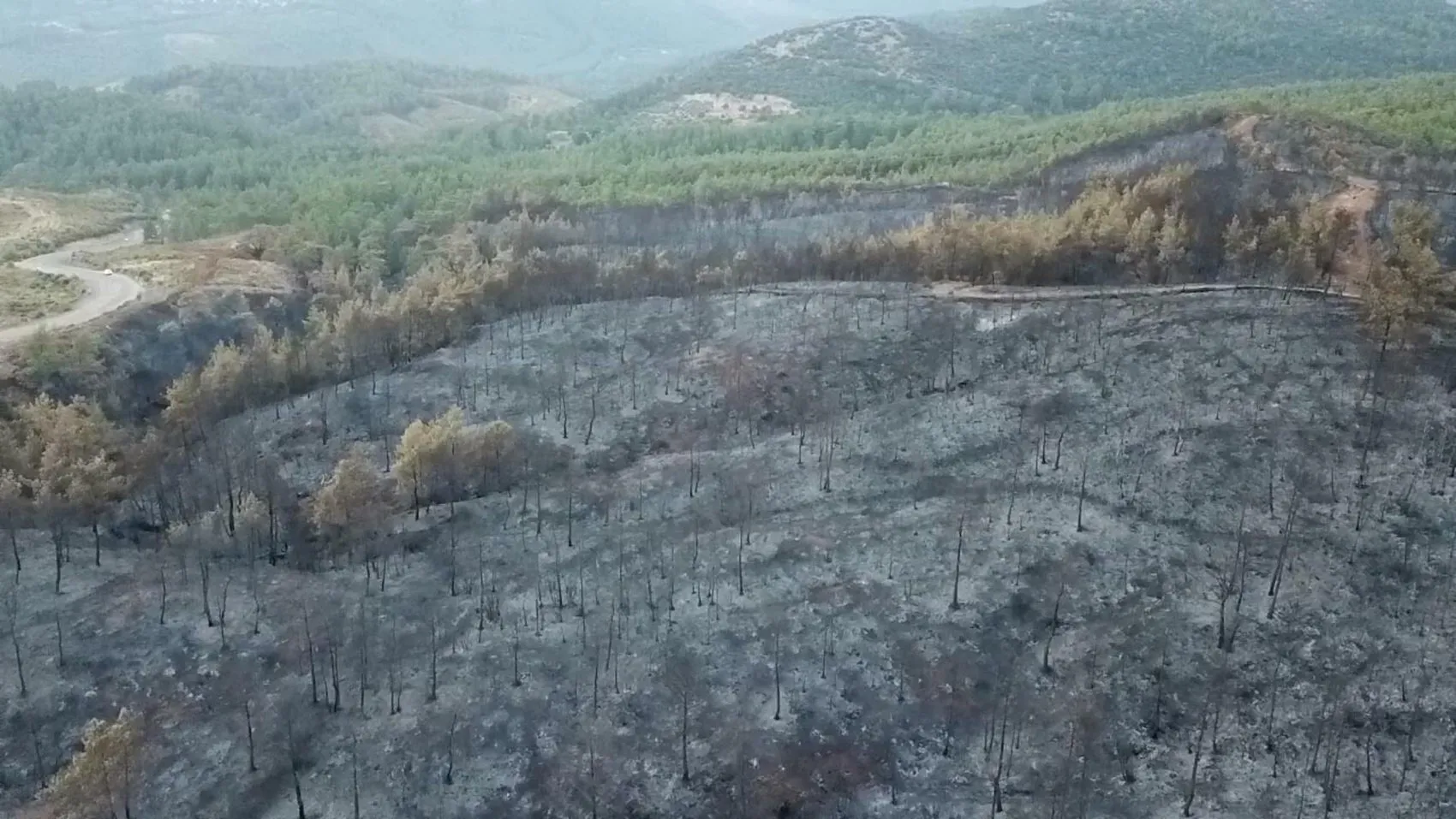 Muğla ormanları küle döndü 5 bin hektar alan yandı