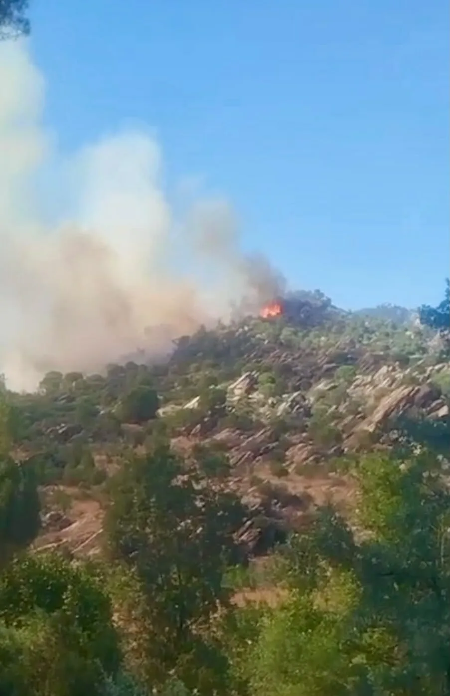 Muğla Kavaklıdere'de ormanlık alanda yangın paniği