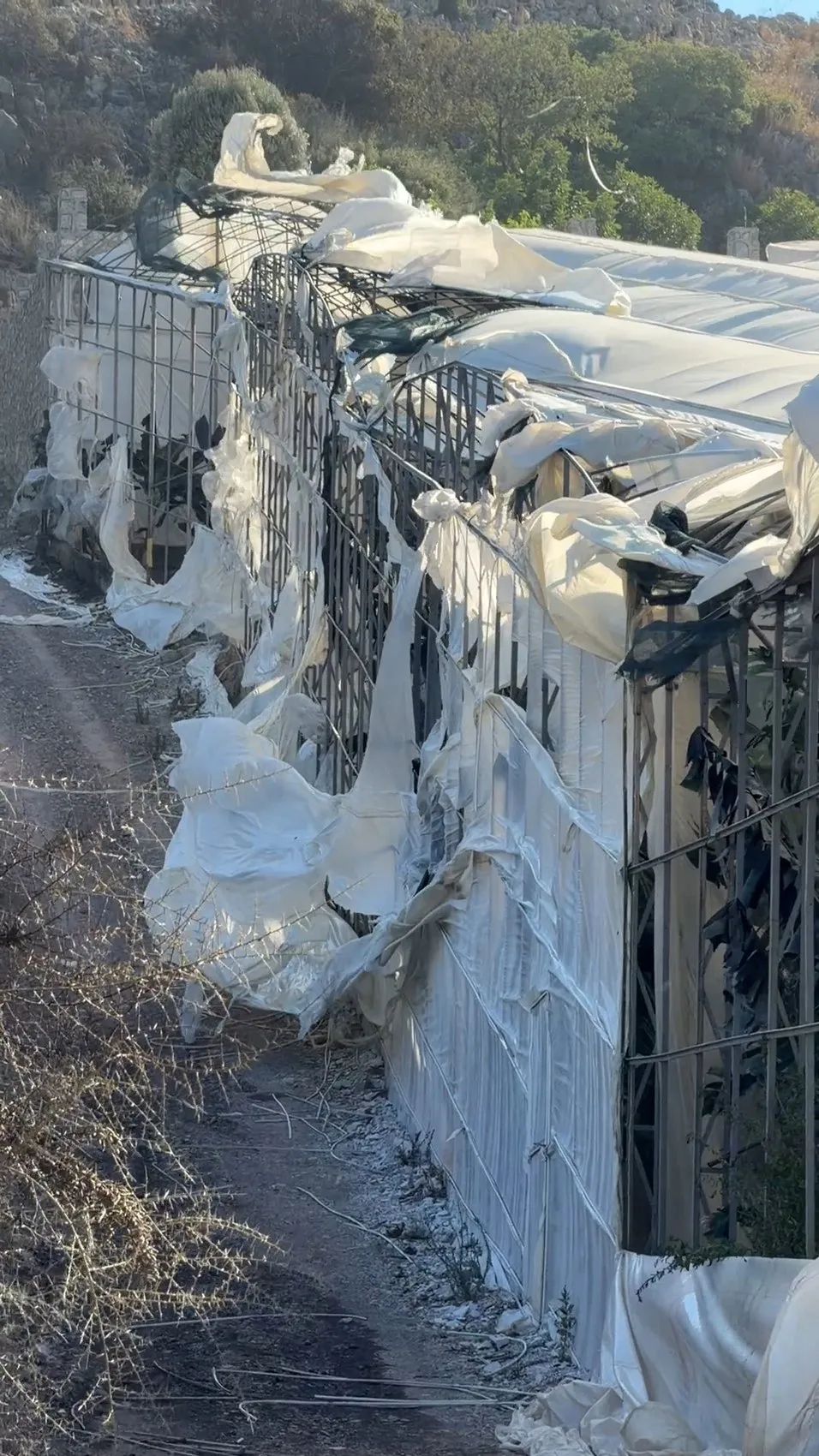 Antalya ormanları iki günde 12 farklı noktada alevlere teslim oldu