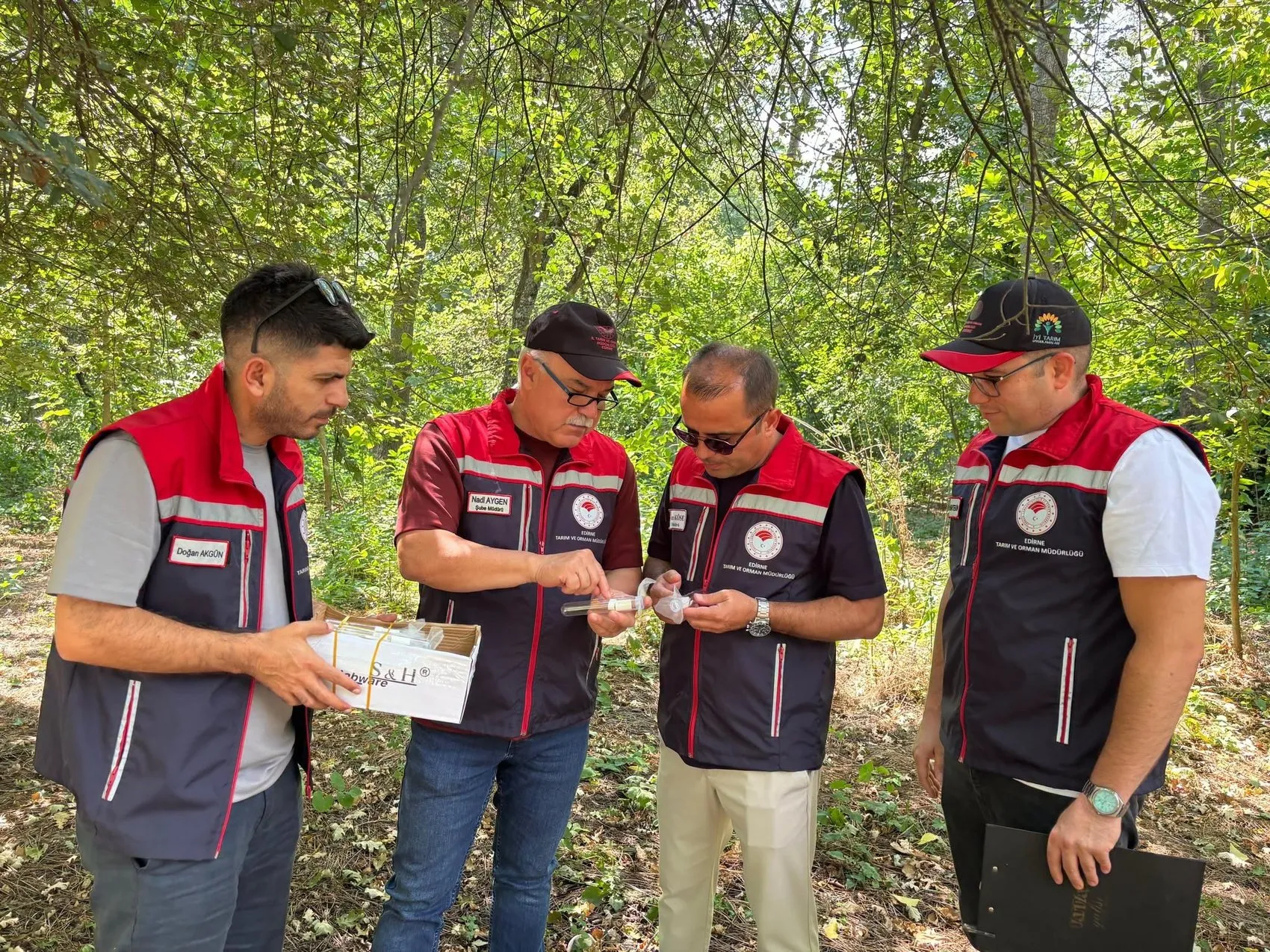 Edirne tarlalarını korumak için 728 samuray arıcığı göreve başladı