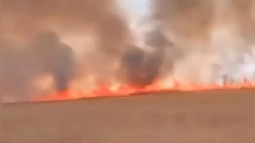 Nusaybin sınırındaki mayınlı arazide yangın paniği