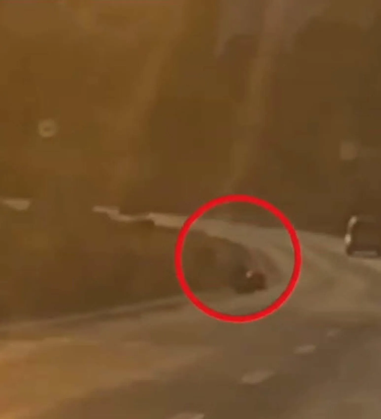 Milas’ta motosiklet kazası kamerada
