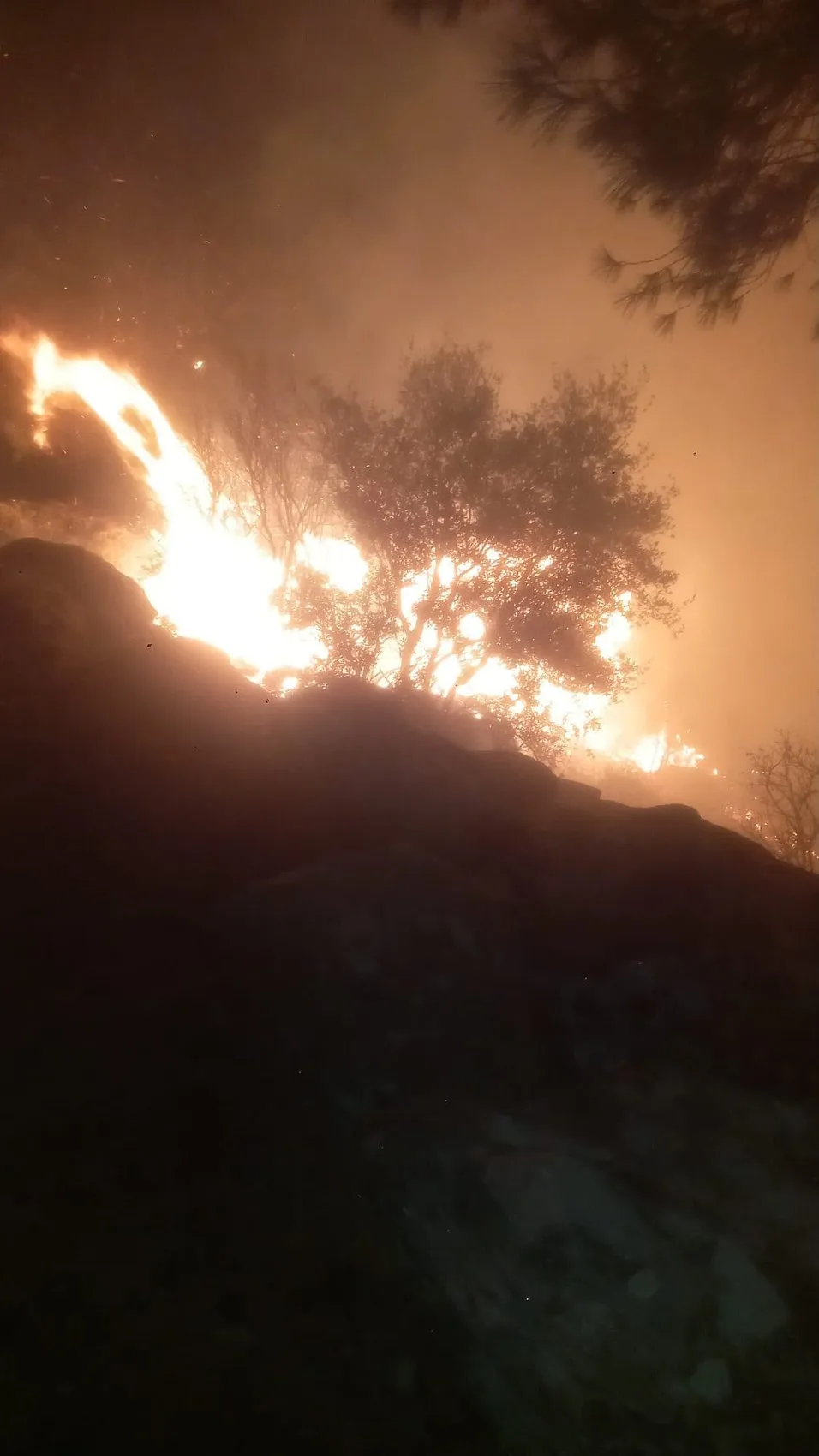 Yatağan ormanlarında gece yarısı yangını başladı