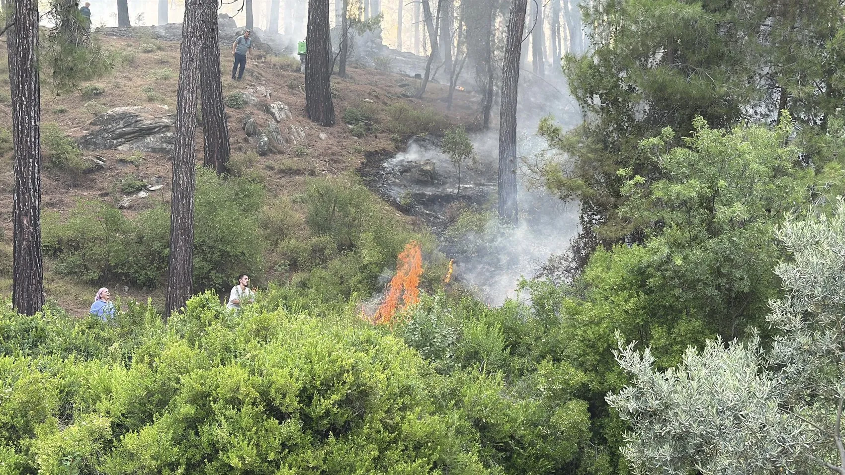 Seydikemer orman yangınında alevler evlere sıçradı