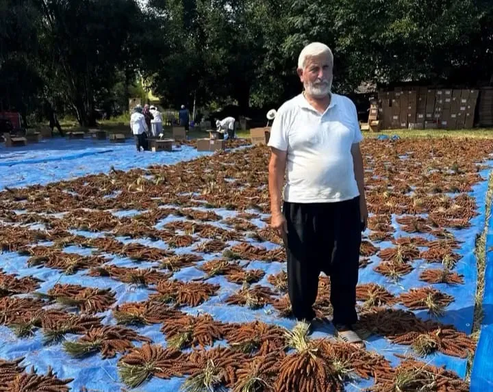 Osmaniyeli çiftçiden kuş yemiyle dolar odaklı yeni kazanç kapısı