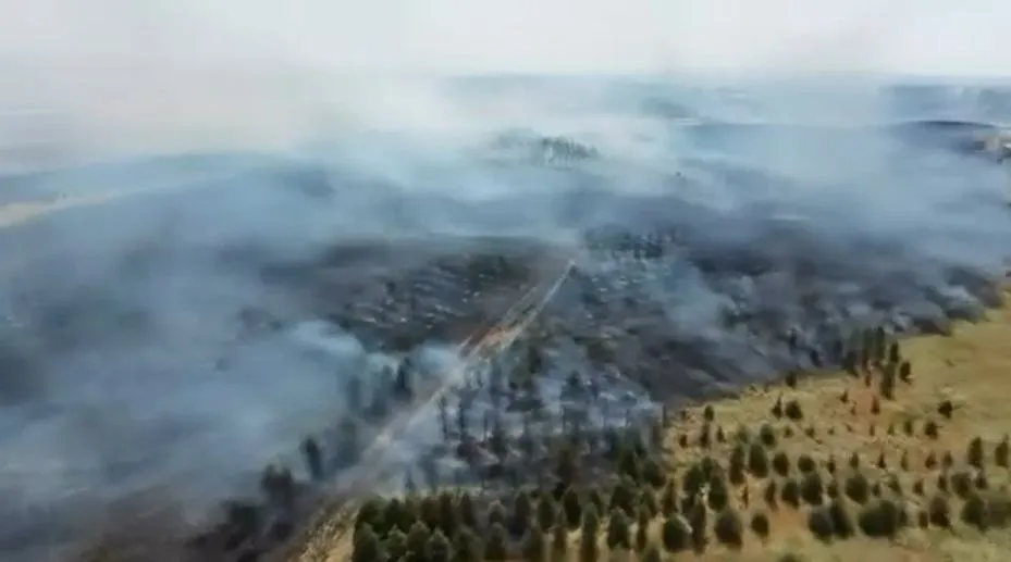 Yenimahalle’de otluk alanda korkutan yangın