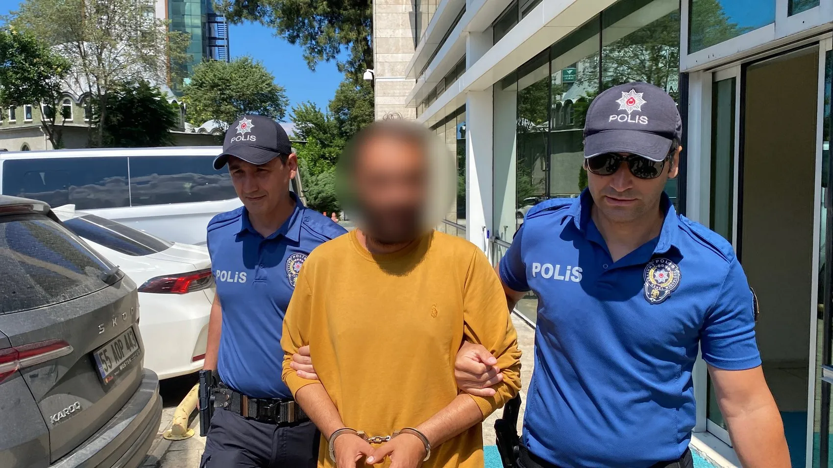 Samsun’da kediye tekme atan şahıs tutuklandı