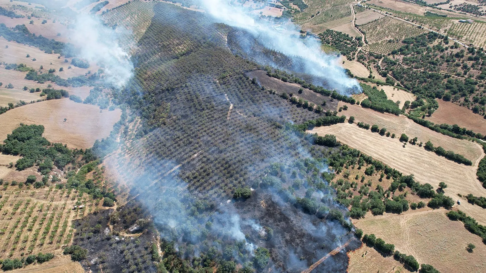 Manisa Kula orman yangınıyla sarsıldı