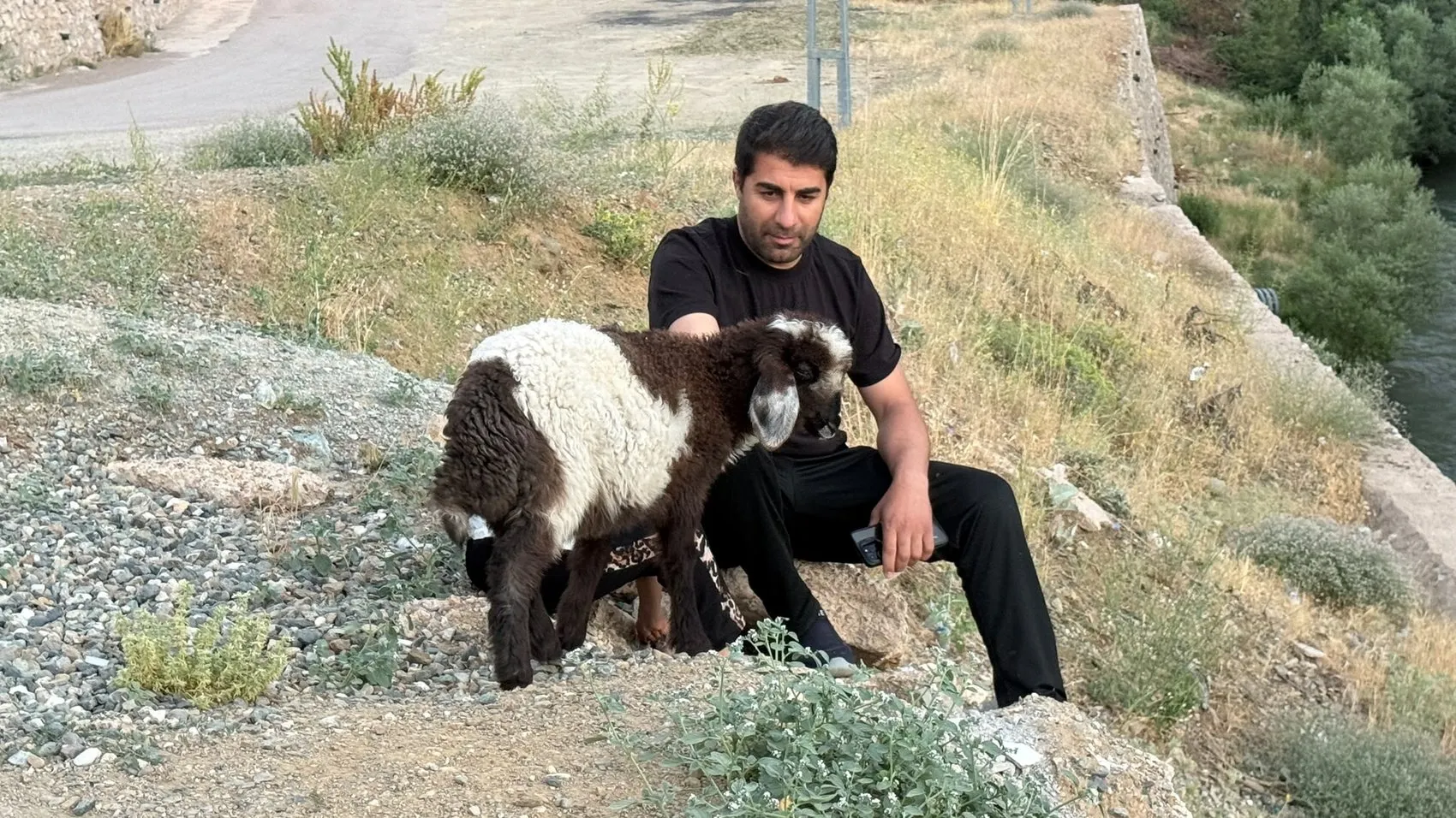 Şemdinli'de bir kuzunun sıra dışı yaşam yolculuğu