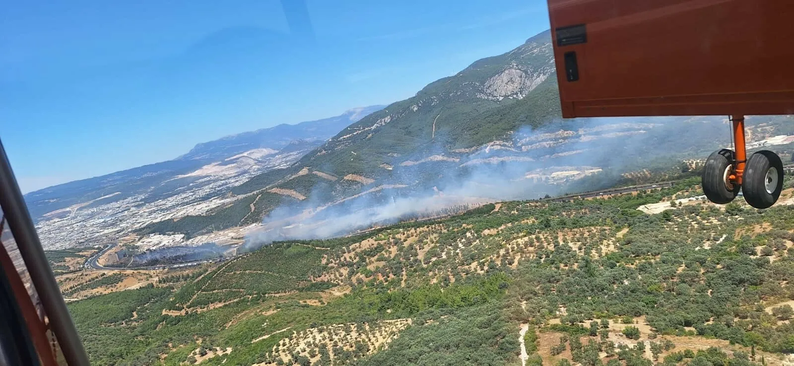 Bornova’da orman yangını korkuttu
