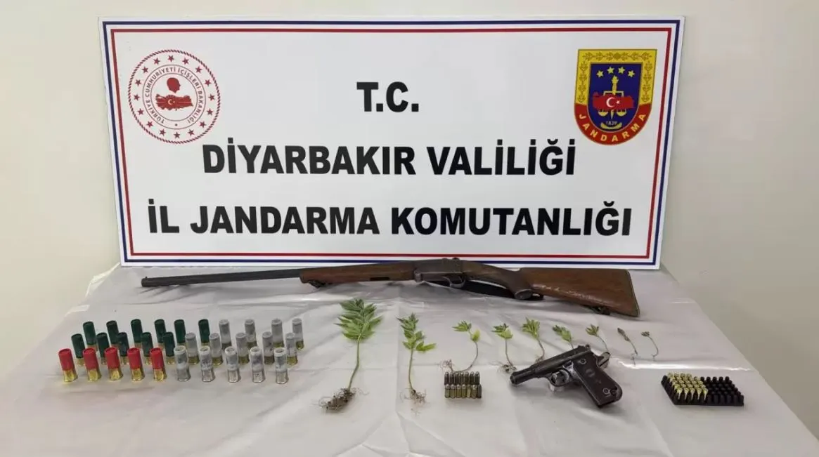 Diyarbakırda siyasetçinin kenevir mesaisi fotokapana takıldı