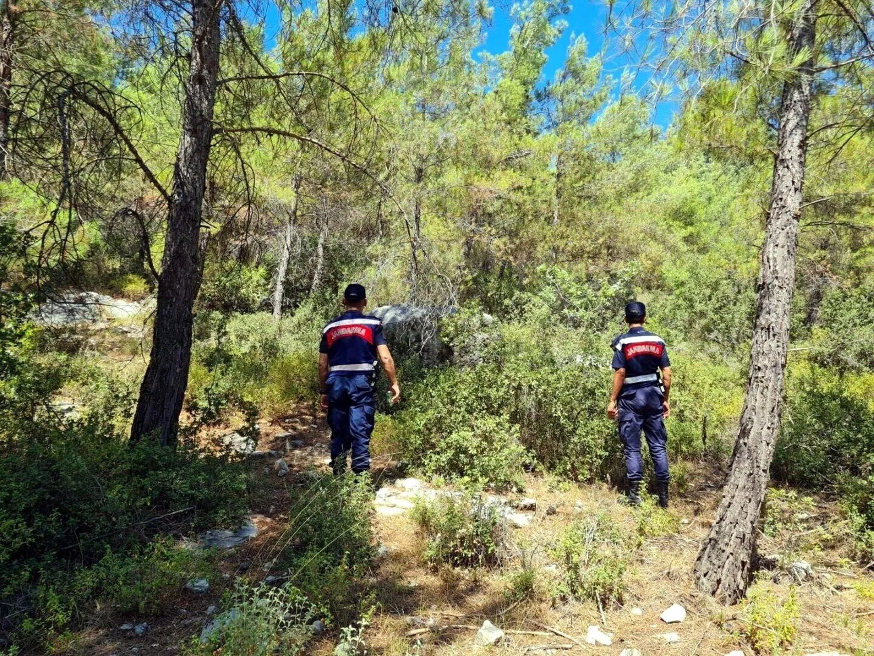 Muğla ormanları için 7 gün 24 saat güvenlik kalkanı
