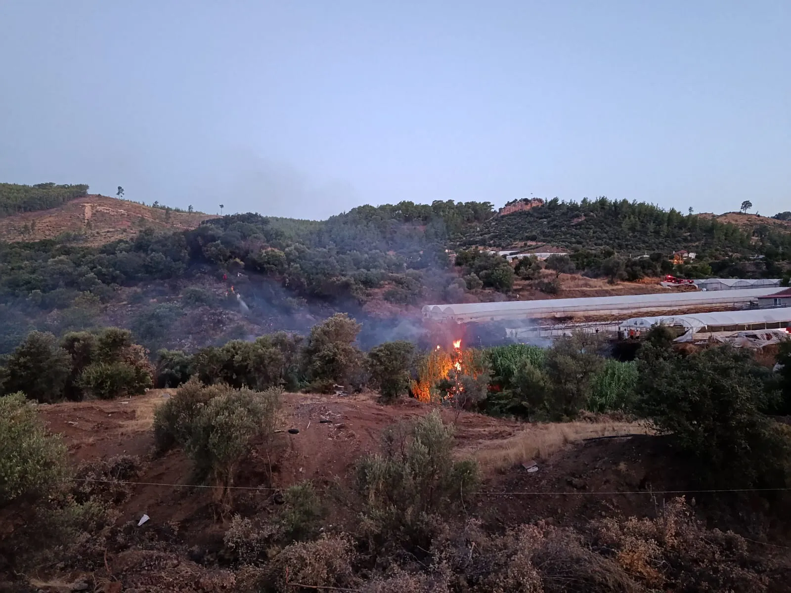 Antalya alevlerle mücadeleyi kazandı