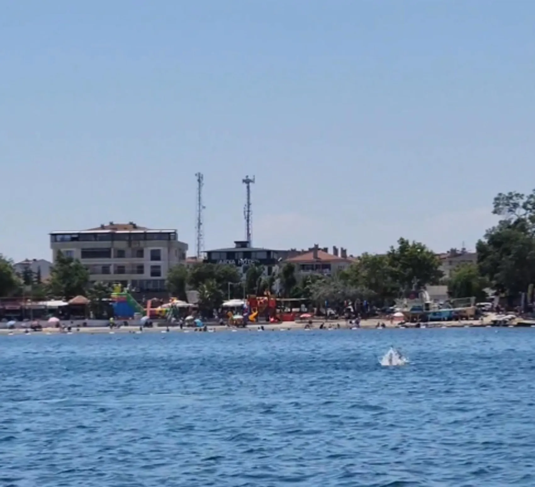Marmara’nın maviliğinde iki yunus sürpriz yaptı