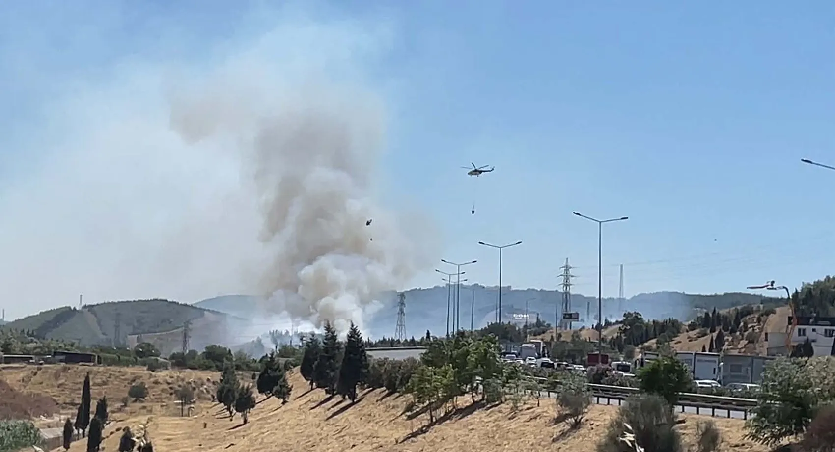İzmir'de ot yangını ormana sıçradı