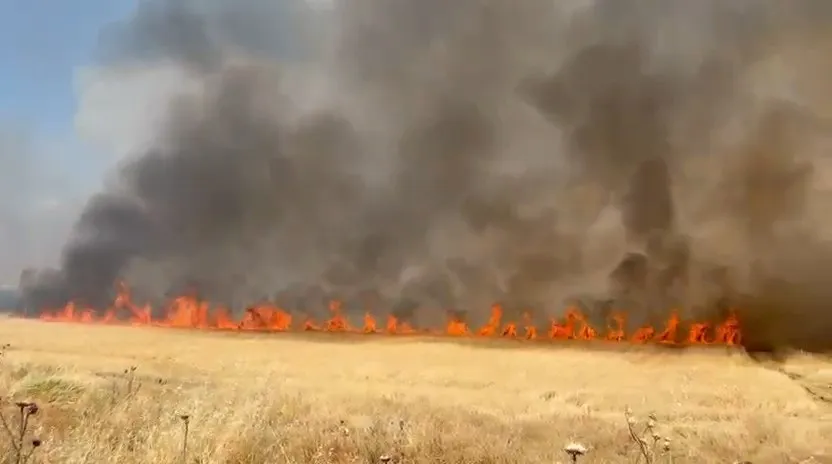 Diyarbakır yangınlarla boğuşuyor iki ayda 100 bin hektar alan yandı