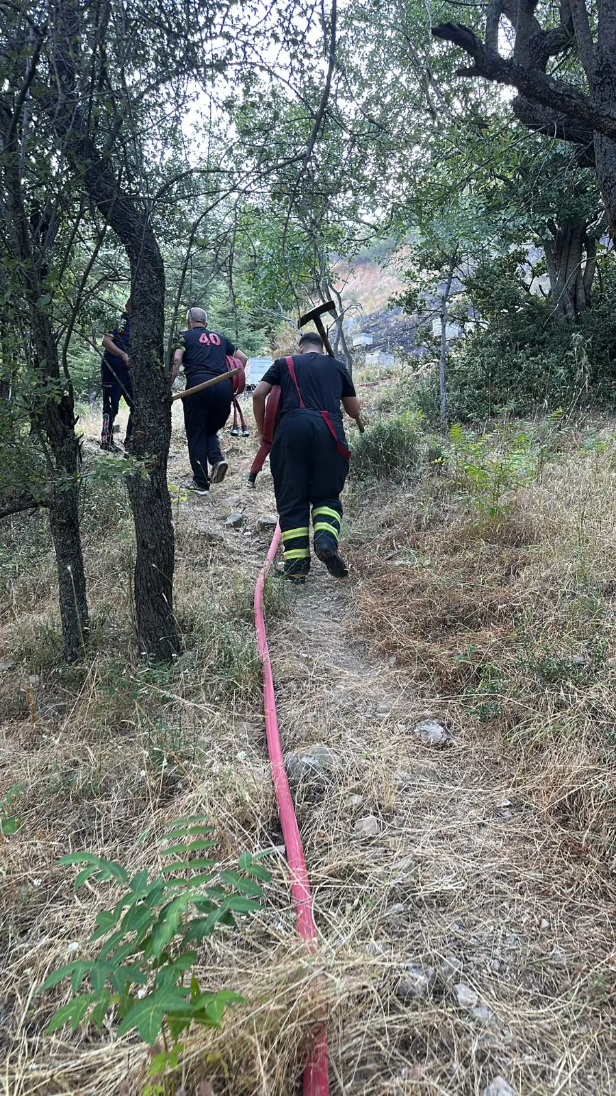 Isparta'da yangına müdahale eden itfaiyeyi arılar bastı