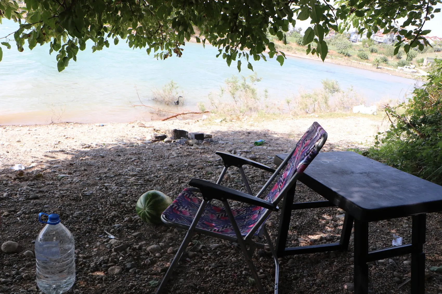 Adana'da piknik faciası Terlik kurtarmak isterken canından oldu
