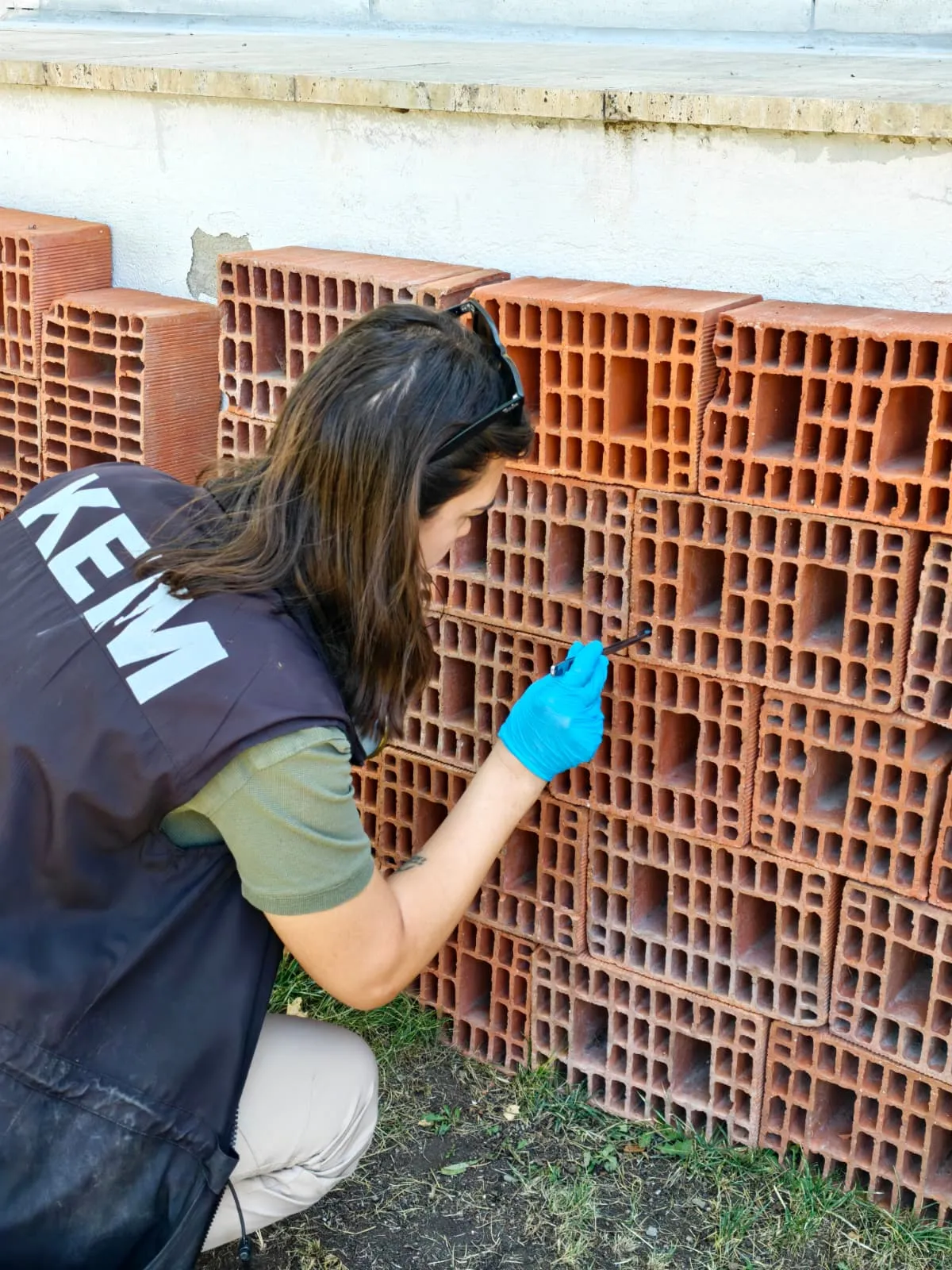 Sınırların yeni dedektör köpekleri eğitimlere başladı