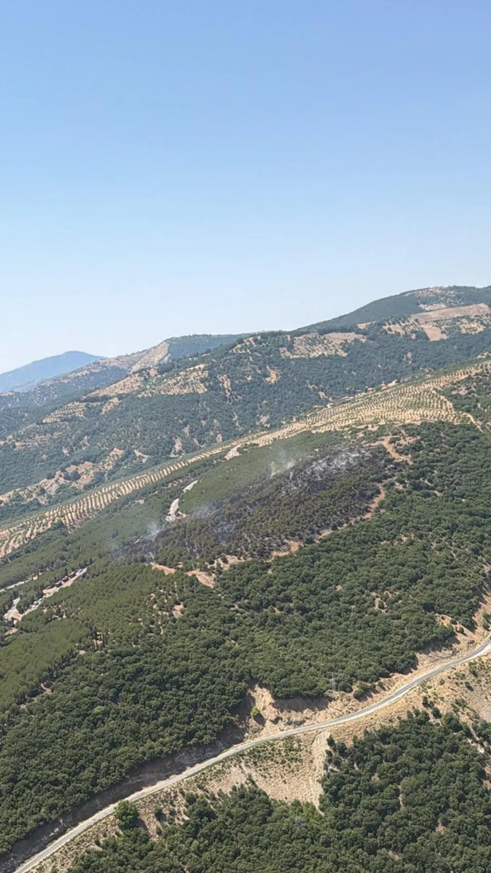 Aydın Kuyucak’ta orman yangını kontrol altına alındı