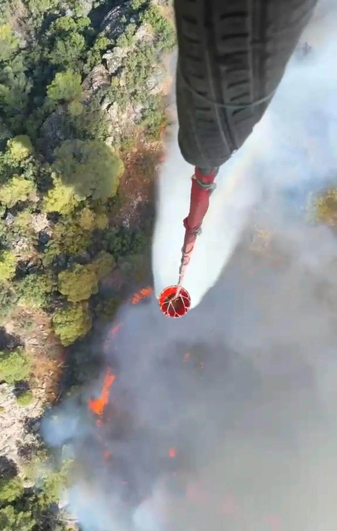 Muğla Kavaklıdere'de ormanlık alanda yangın paniği