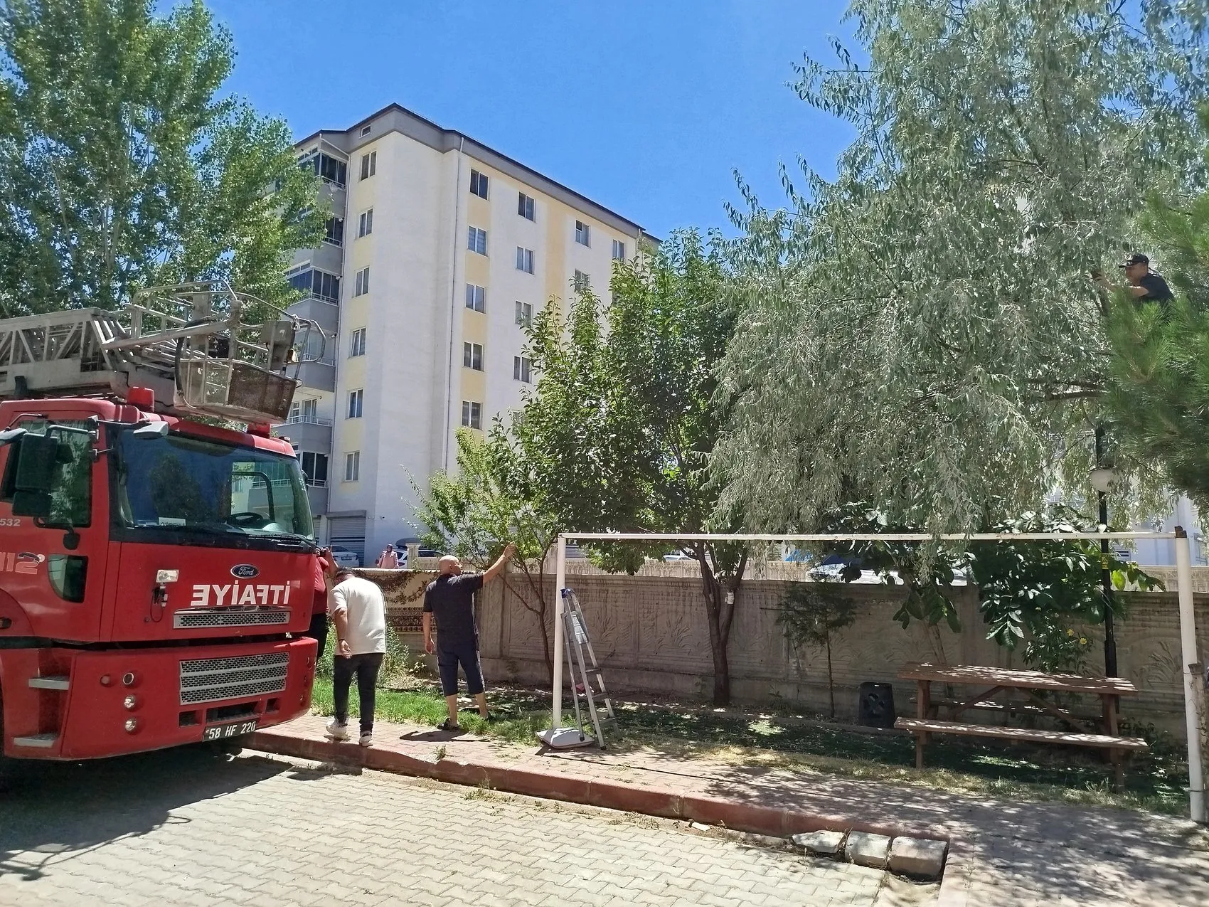 Sivas'ta ağaçta mahsur kalan çocuk itfaiye yardımıyla kurtarıldı