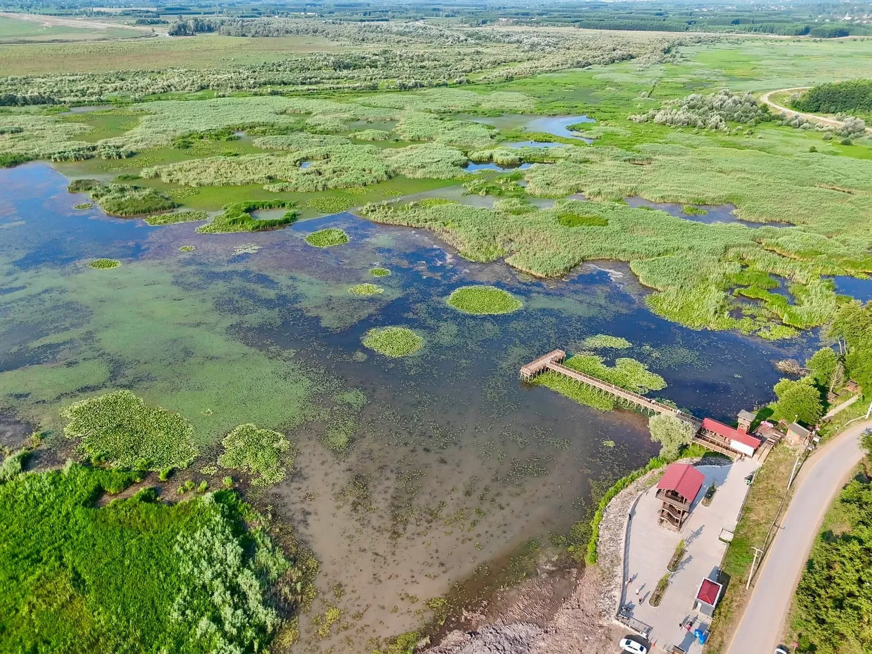 Düzce’nin saklı cenneti yazın rengini değiştirdi