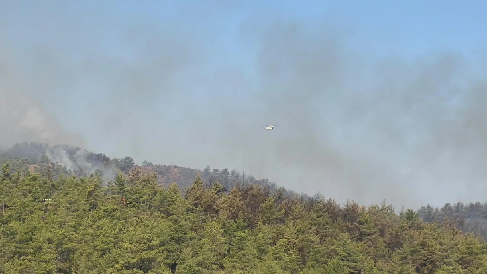 Fethiye ormanlarında gece başlayan yangın kontrol altına alınıyor