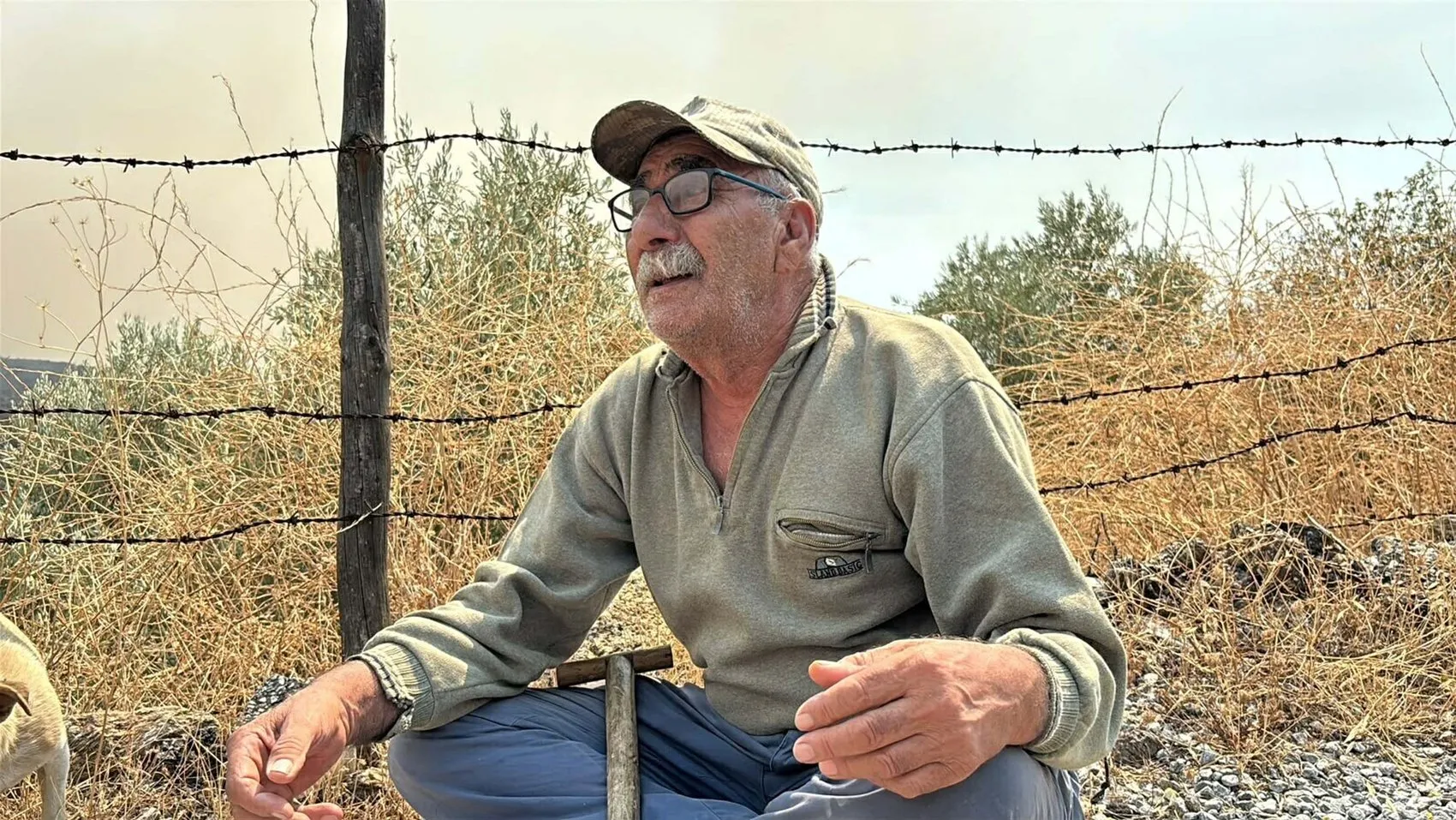 Aydın Çine’deki orman yangını rüzgarla birlikte yeniden alevlendi
