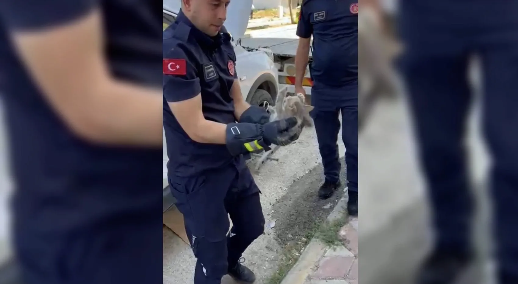 Adıyaman'da park halindeki otomobilin motoruna sıkışan kedi kurtarıldı