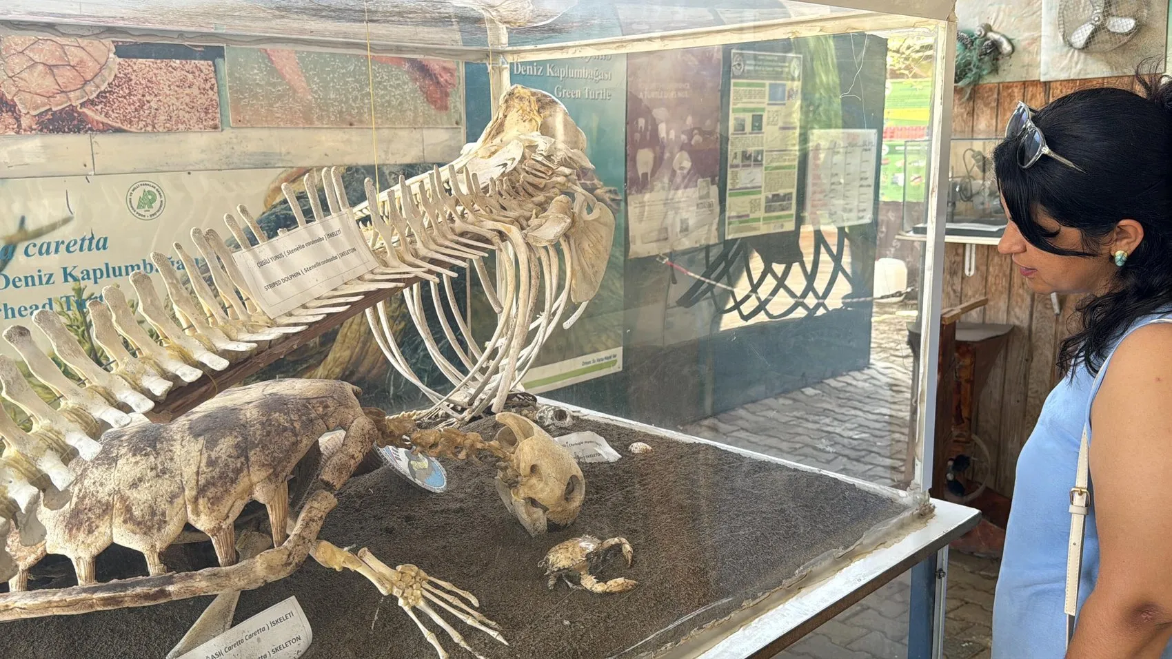 İztuzu’nda Caretta Carettaların Yaşam Mücadelesine Yakından Bakış
