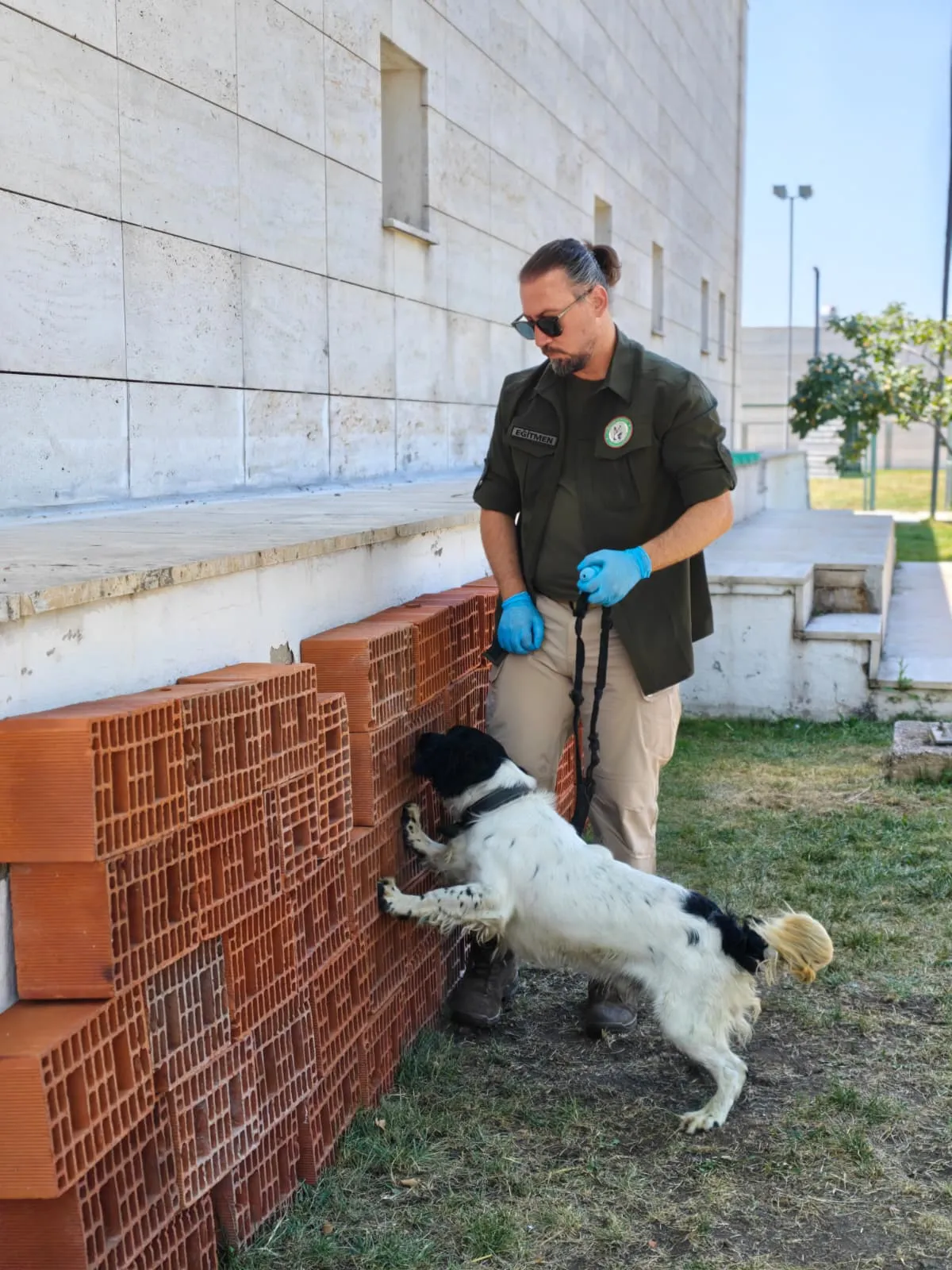 Sınırların yeni dedektör köpekleri eğitimlere başladı