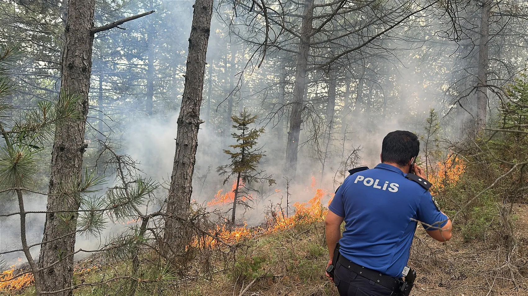 Kütahya 30 Ağustos Mahallesi yakınlarında orman yangını paniği