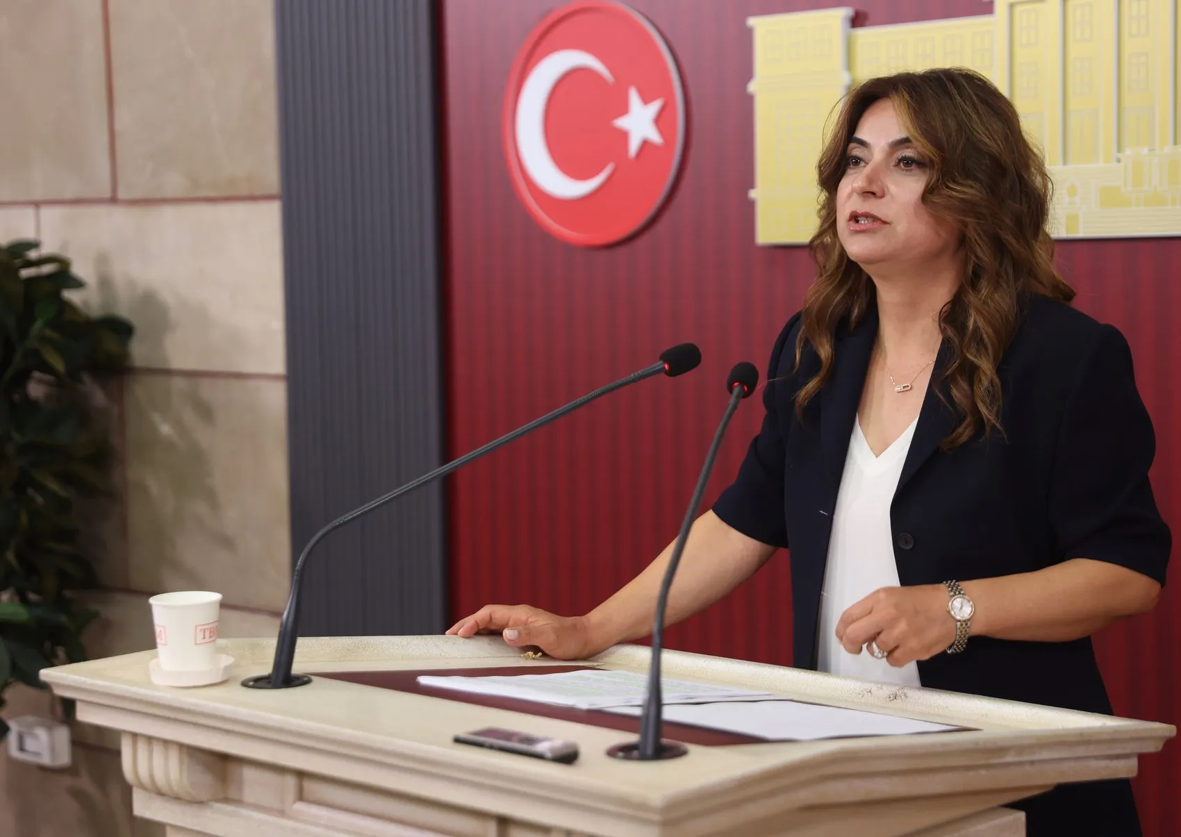 DEM Parti'den İmralı süreci için yeni yasa çağrısı