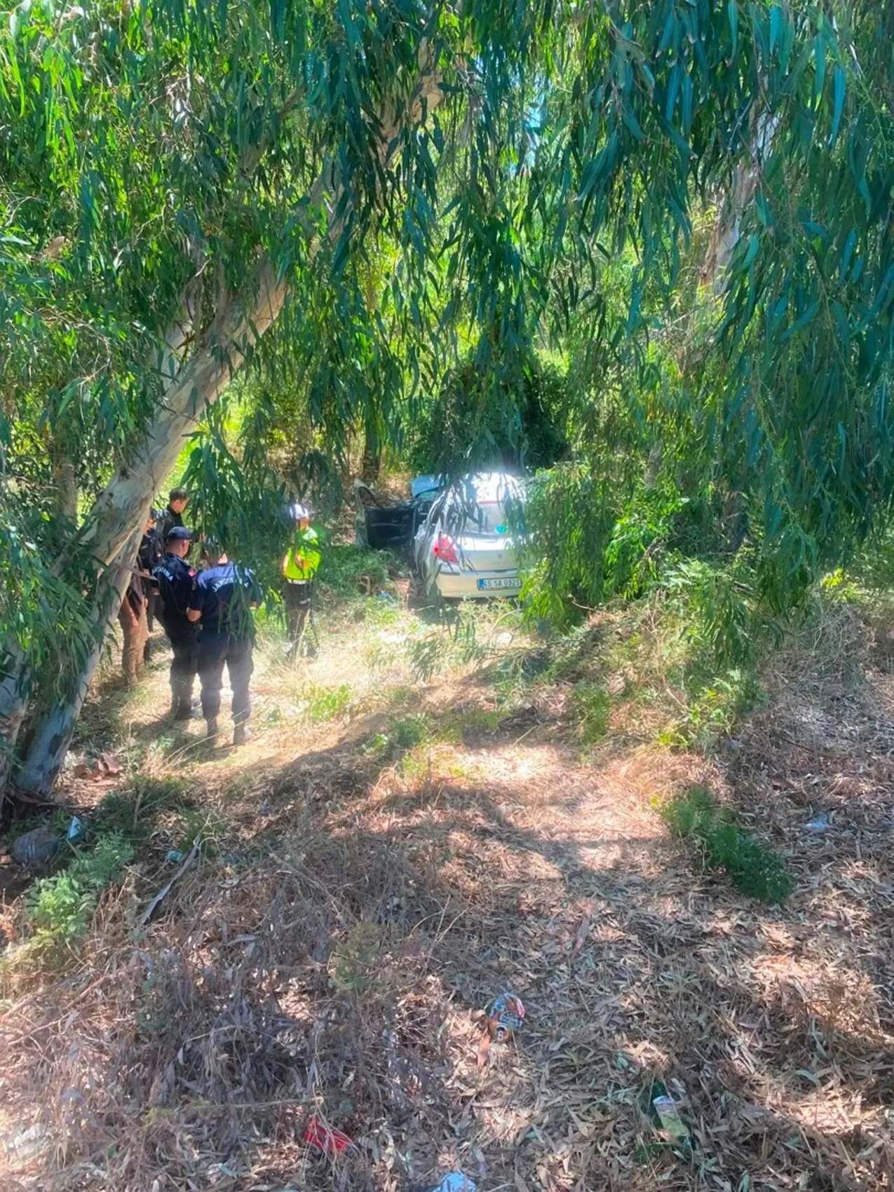 Aydın Germencik'te feci kaza Eski savcı hayatını kaybetti
