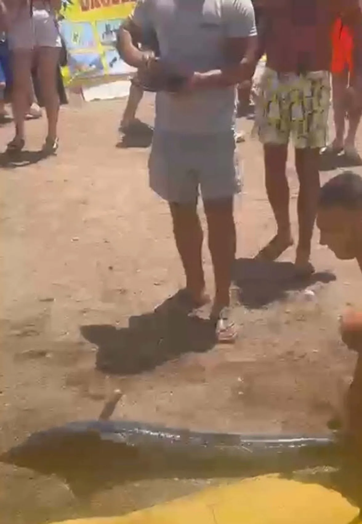 Marmaris'te kılıç balığını denizden elle çıkaran kişiye ceza kesildi