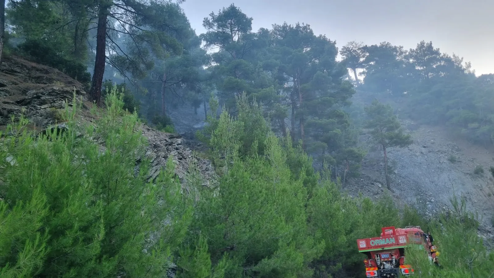 Karacasu ormanlarında sabaha karşı yangın paniği
