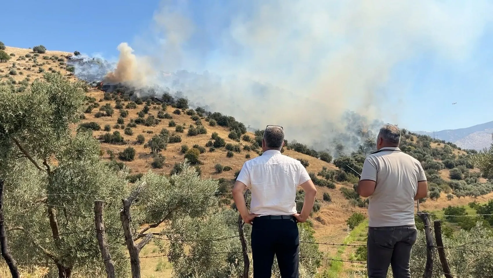 Efeler’de orman yangını paniği