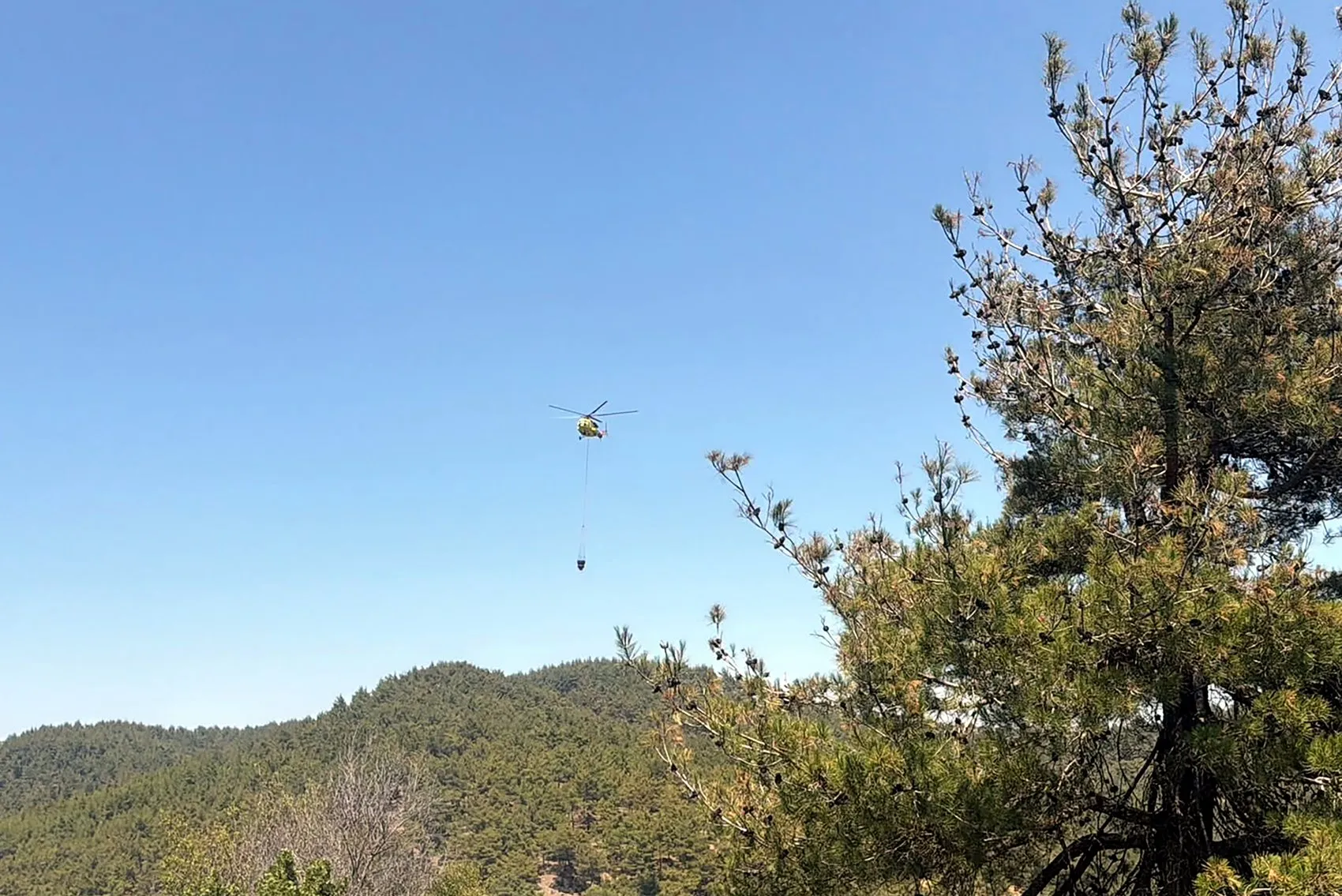 Osmaniye Yarpuz’da orman yangını paniği