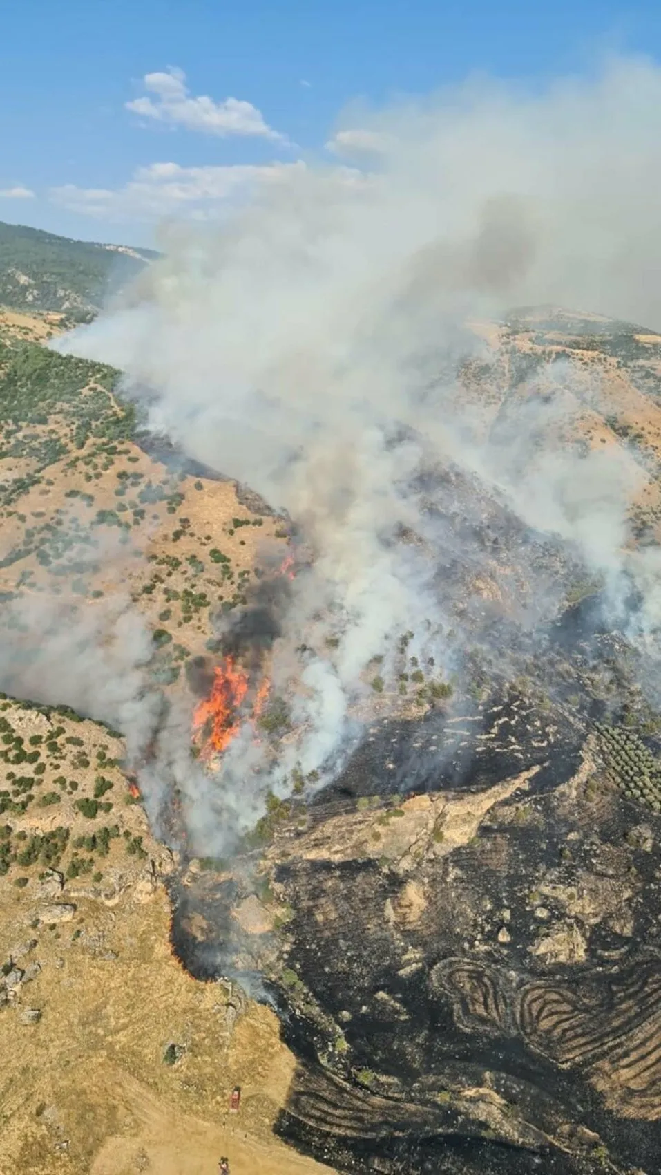 Pamukkale’de orman yangını 14,5 saatlik mücadelenin ardından söndürüldü