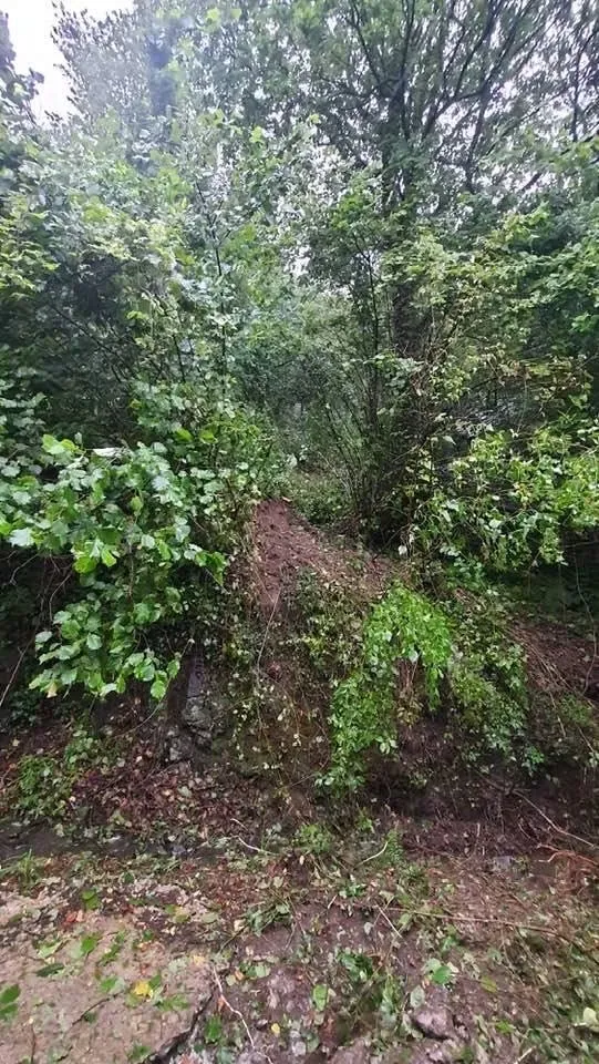 Giresun'da dev kaya parçası evin üzerine düştü