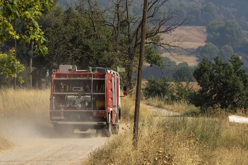 İspanya orman yangınıyla boğuşuyor