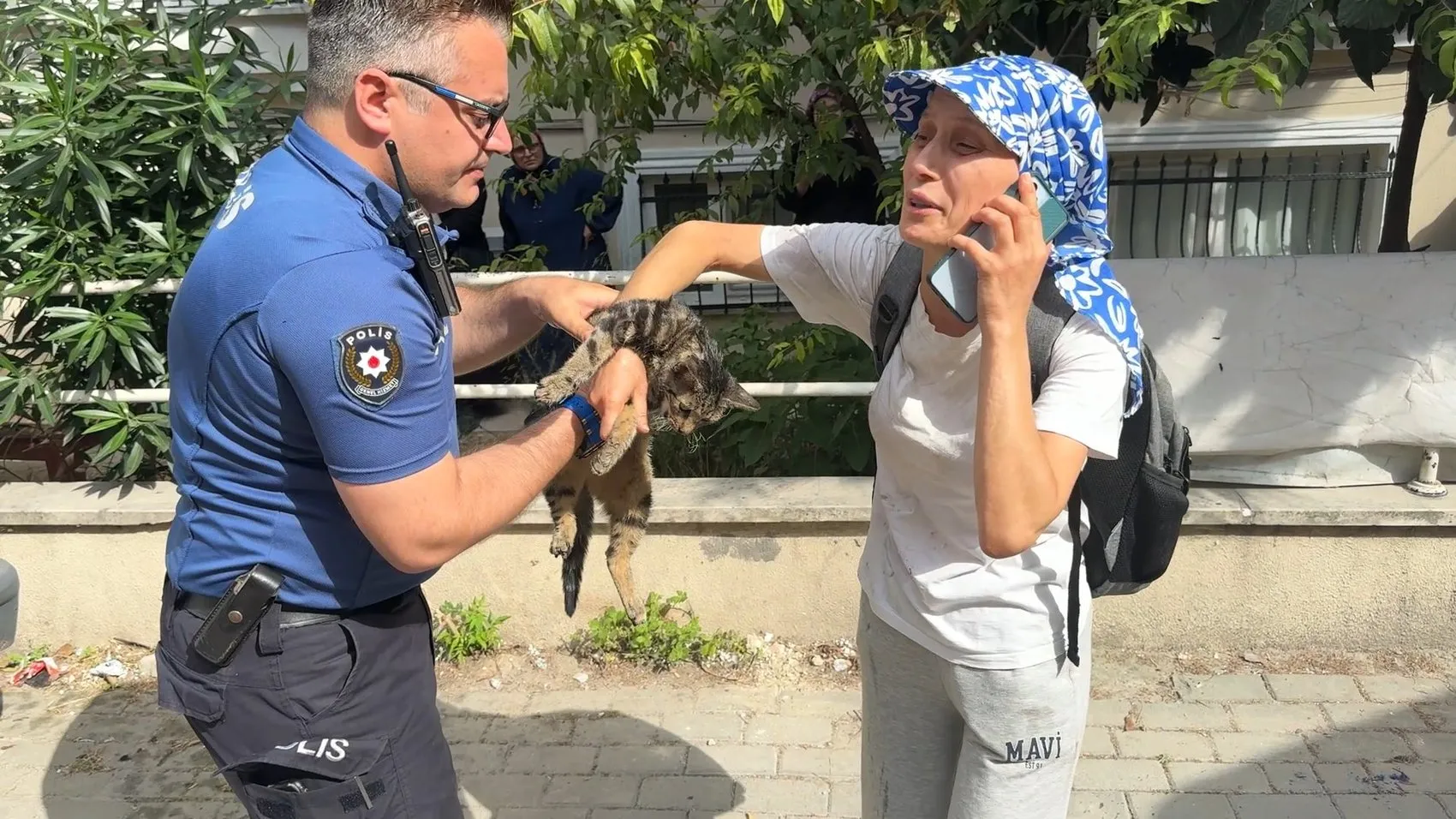 Avcılar’da bir evde çıkan yangın 10 kedinin ölümüne neden oldu?