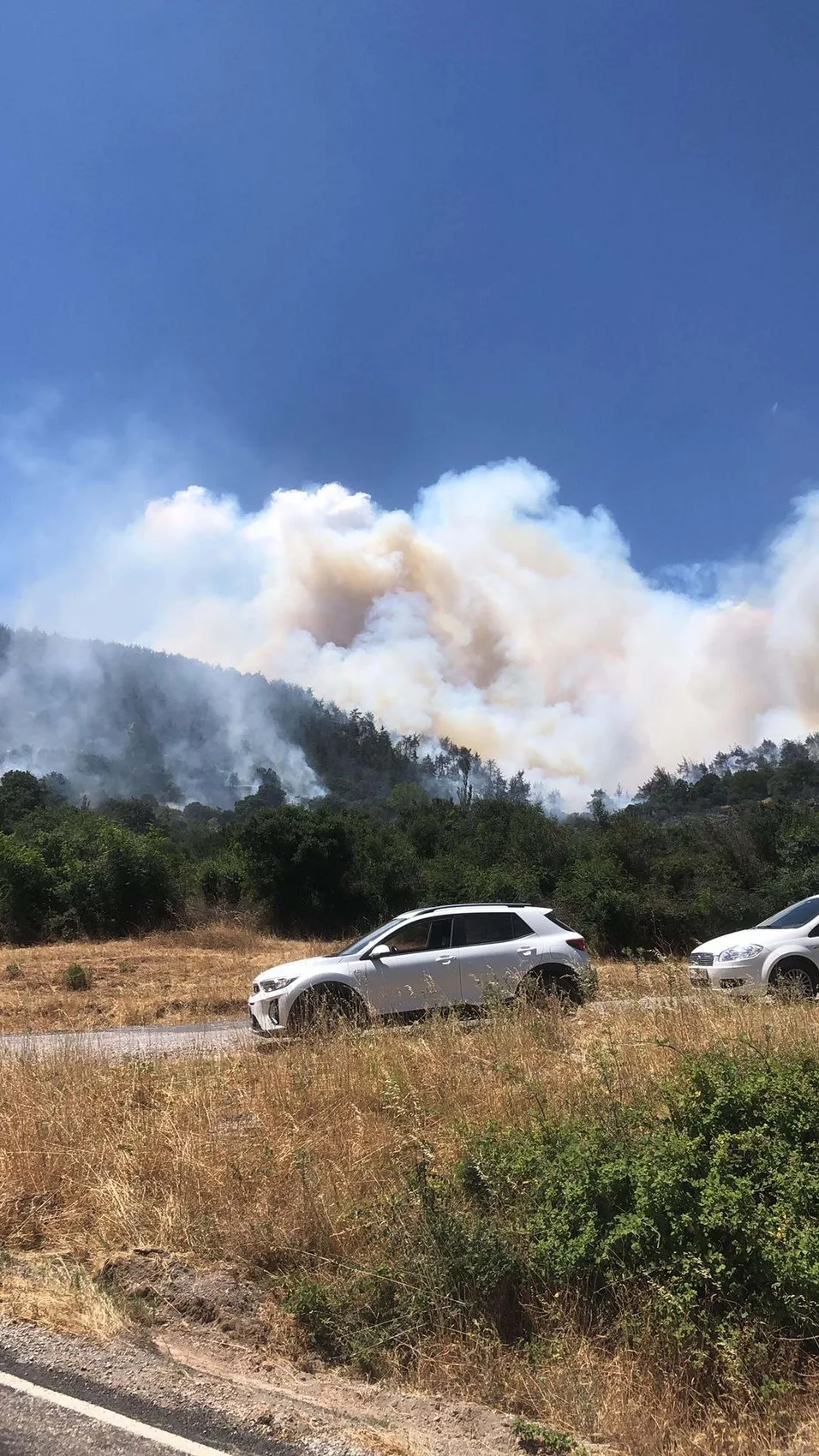Balıkesir'de orman yangınları kontrol altına alındı