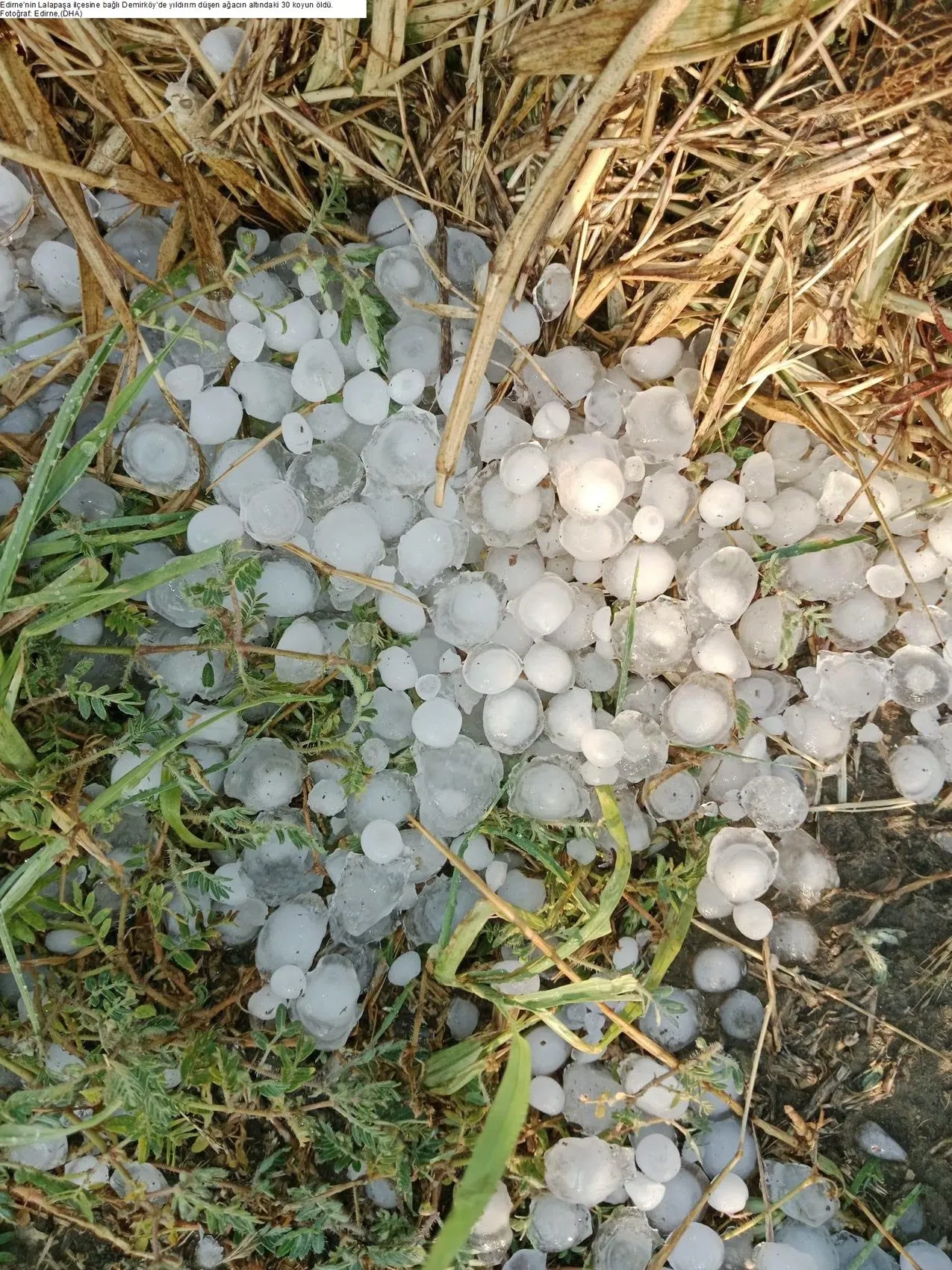 Edirne’de akşam saatlerinde aniden bastıran sağanak hayatı zorlaştırdı