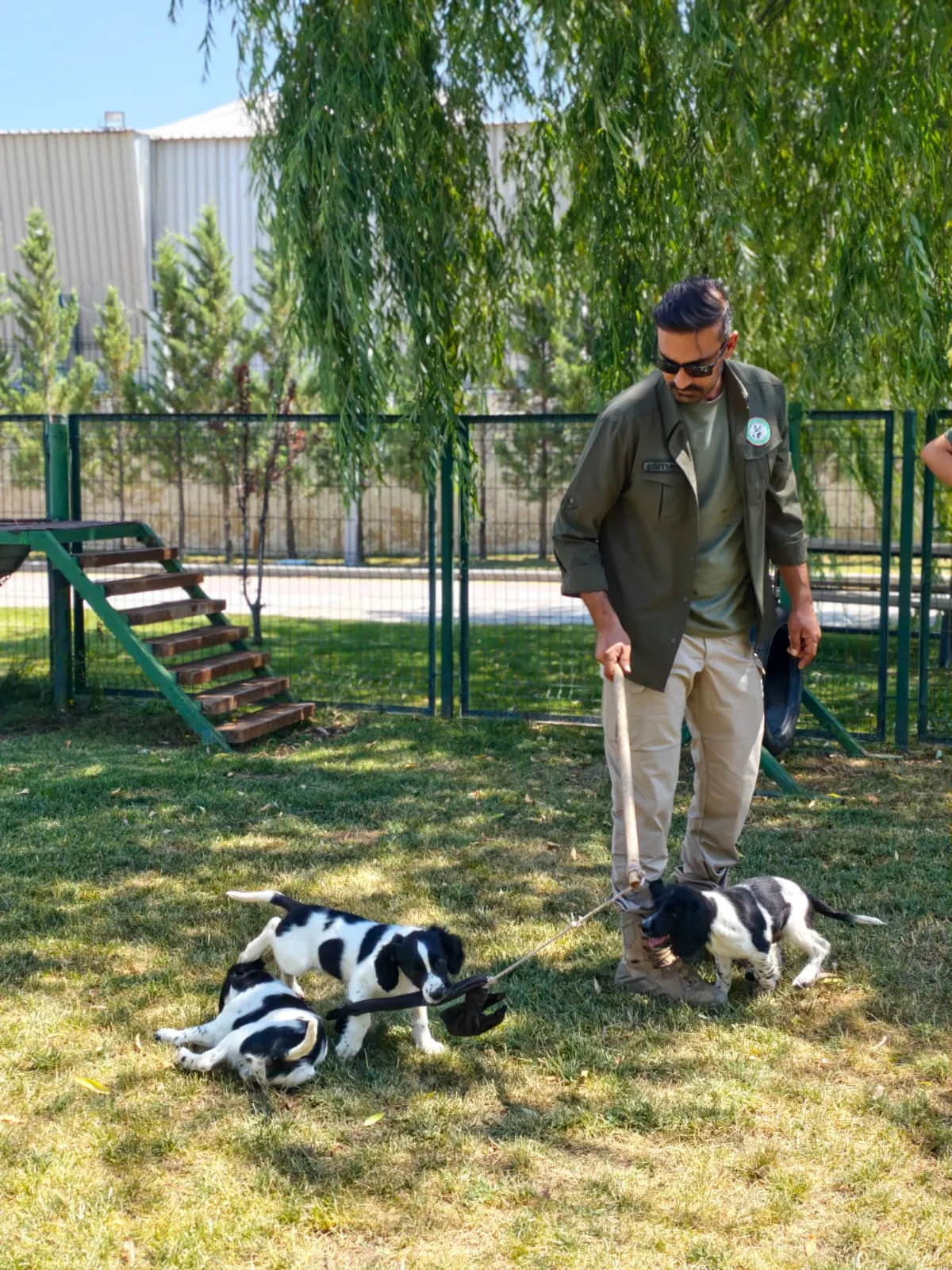 Sınırların yeni dedektör köpekleri eğitimlere başladı