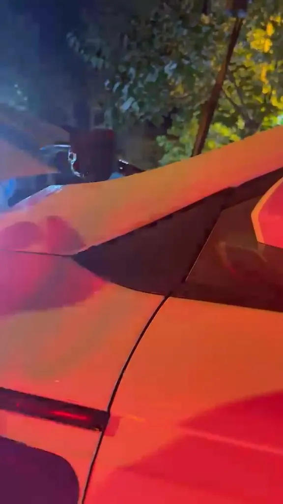 Polis otosunun motoruna sıkışan kedi için seferberlik