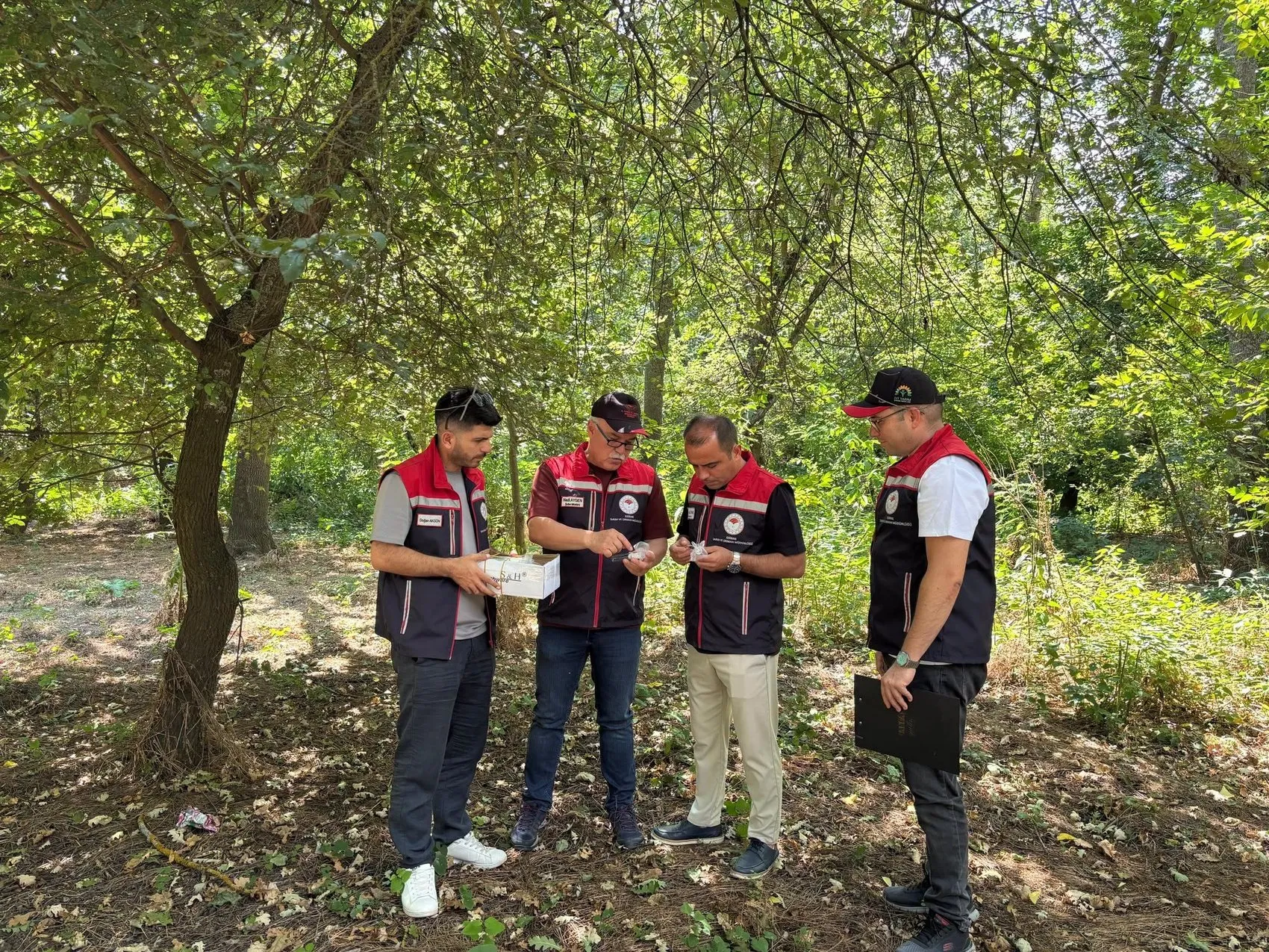 Edirne tarlalarını korumak için 728 samuray arıcığı göreve başladı