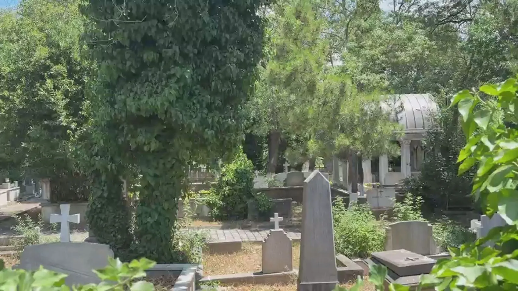 Üsküdar'da mezarlığa saldırı düzenleyen şüpheli yakalandı